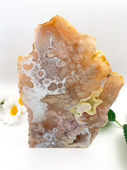 Flower Agate Free Form/Slab (Sakura Agate) - Crystal Love Treasures